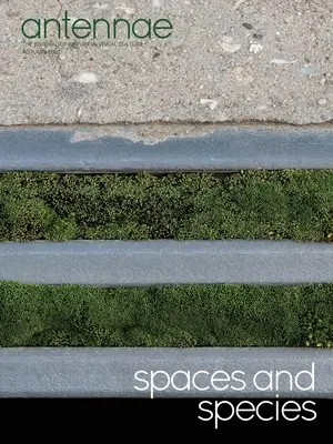 Antenne #56 Spazi e specie - Antennae #56 Spaces and Species
