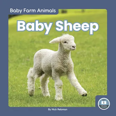Baby pecore - Baby Sheep