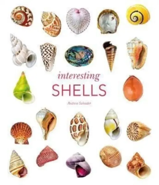 Conchiglie interessanti - Interesting Shells