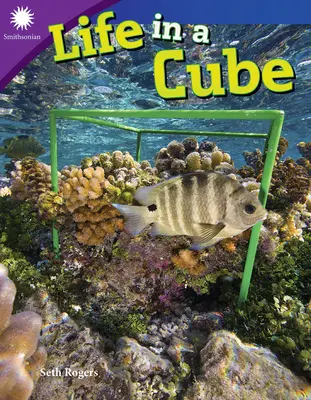 La vita in un cubo - Life in a Cube