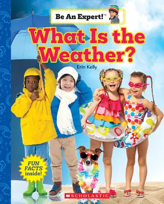 Che tempo fa? (Diventa un esperto!) - What Is the Weather? (Be an Expert!)