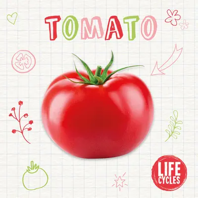 Pomodoro - Tomato