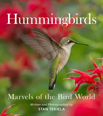 Colibrì: Meraviglie del mondo degli uccelli - Hummingbirds: Marvels of the Bird World