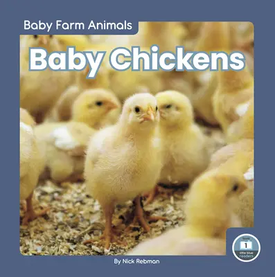 Baby galline - Baby Chickens
