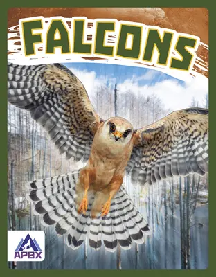 Falchi - Falcons