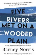 Cinque fiumi si sono incontrati in una pianura boscosa - Five Rivers Met on a Wooded Plain