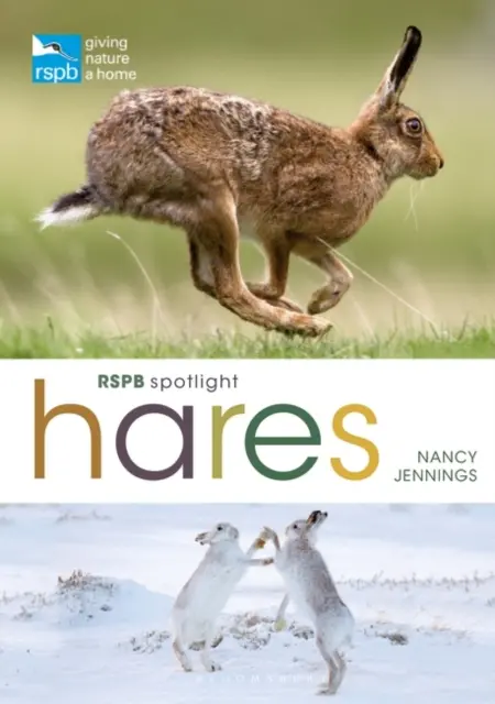 Lepri da richiamo della RSPB - RSPB Spotlight Hares