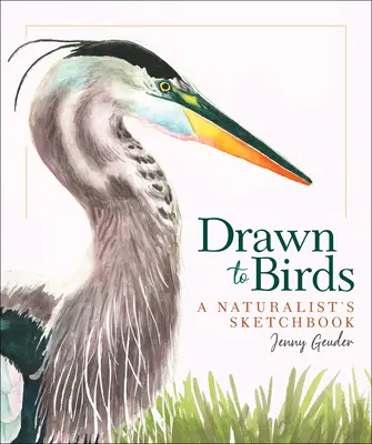 Disegnato dagli uccelli: Il quaderno degli schizzi di un naturalista - Drawn to Birds: A Naturalist's Sketchbook