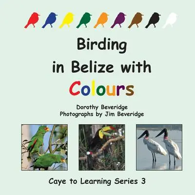 Uccelli in Belize con i colori - Birding in Belize with Colours