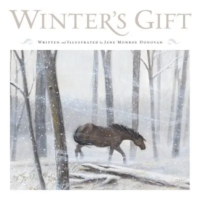 Il dono dell'inverno - Winter's Gift
