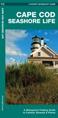 Cape Cod Seashore Life - Una guida pieghevole impermeabile agli animali e alle piante più comuni - Cape Cod Seashore Life - A Waterproof Folding Guide to Familiar Animals & Plants