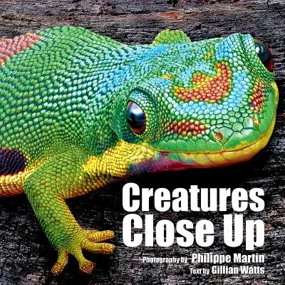 Creature da vicino - Creatures Close Up