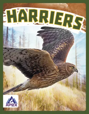 Albanelle - Harriers