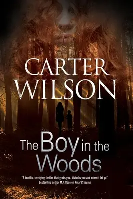 Il ragazzo nel bosco - The Boy in the Woods