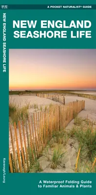 Vita da spiaggia del New England - Guida pieghevole impermeabile agli animali e alle piante più familiari - New England Seashore Life - A Waterproof Folding Guide to Familiar Animals & Plants
