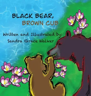 Orso nero, cucciolo marrone - Black Bear, Brown Cub