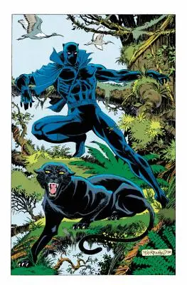 Pantera Nera: La ricerca di Pantera - Black Panther: Panther's Quest