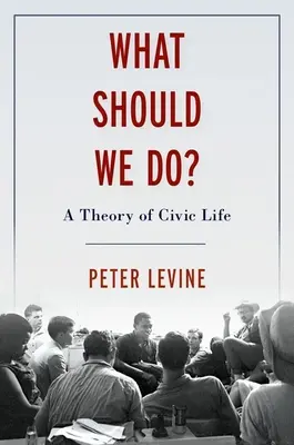 Cosa dobbiamo fare: Teoria politica per i cittadini - What Should We Do: Political Theory for Citizens