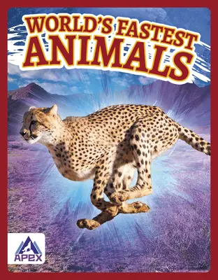 Animali più veloci del mondo - World's Fastest Animals