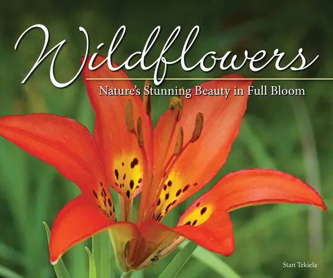 Fiori selvatici: La bellezza della natura in mostra - Wildflowers: Nature's Stunning Beauty on Display
