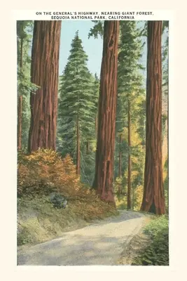 Diario d'epoca Parco nazionale di Sequoia - The Vintage Journal Sequoia National Park
