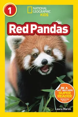 Panda rossi - Red Pandas