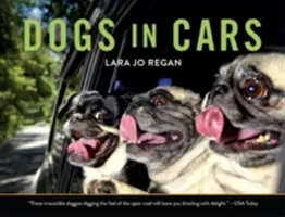 Cani in auto - Dogs in Cars