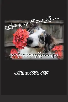 Questo è il giorno (birmano): Lettere dal cuore - This Is the Day (Burmese): Letters from the Heart