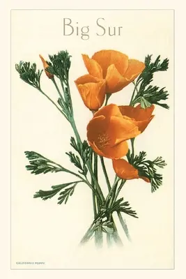 Diario d'epoca Papavero della California, Big Sur - The Vintage Journal California Poppy, Big Sur