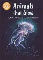 Campione di lettura: Animali che brillano - Lettura indipendente Arancione 6 Saggistica - Reading Champion: Animals that Glow - Independent Reading Orange 6 Non-fiction