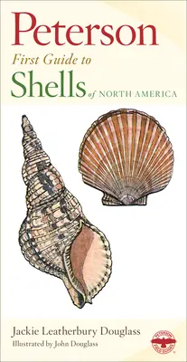 Conchiglie del Nord America - Shells of North America