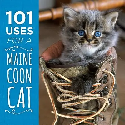 101 usi per un gatto Maine Coon - 101 Uses for a Maine Coon Cat