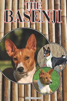 Il Basenji: una guida completa ed esaustiva per i principianti su: Comprare, possedere, salute, curare, addestrare, obbedire, capire - The Basenji: A Complete and Comprehensive Beginners Guide To: Buying, Owning, Health, Grooming, Training, Obedience, Understanding