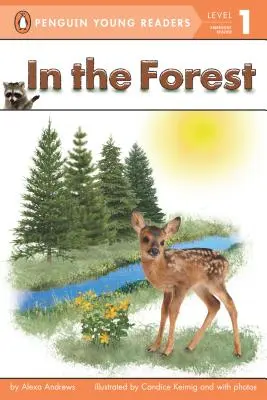 Nella foresta - In the Forest
