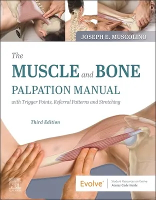 Manuale di palpazione muscolare e ossea con punti trigger, schemi di riferimento e stretching - The Muscle and Bone Palpation Manual with Trigger Points, Referral Patterns and Stretching