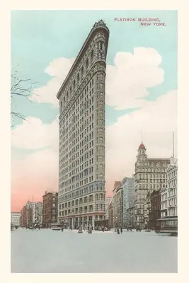 Diario d'epoca Edificio Flatiron, New York - Vintage Journal Flatiron Building, New York