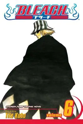 Bleach, Vol. 6: Volume 6