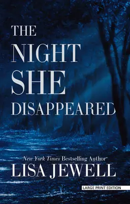 La notte in cui è scomparsa - The Night She Disappeared