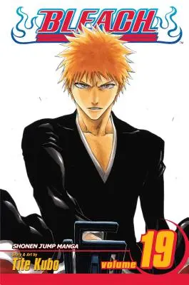 Bleach, Vol. 19: Volume 19
