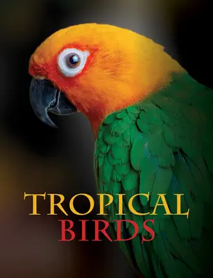 Uccelli tropicali - Tropical Birds
