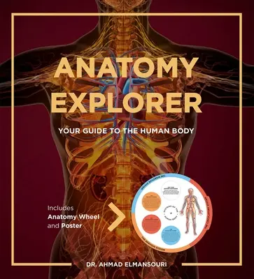 Esploratore di anatomia - Anatomy Explorer