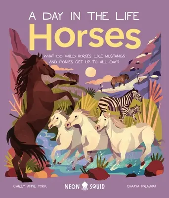Cavalli (un giorno nella vita): Cosa fanno tutto il giorno i cavalli selvaggi come i mustang e i pony? - Horses (a Day in the Life): What Do Wild Horses Like Mustangs and Ponies Get Up to All Day?