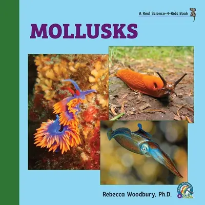 Molluschi - Mollusks