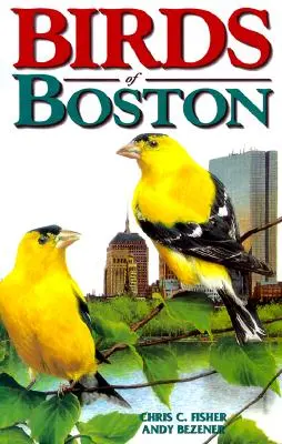 Uccelli di Boston - Birds of Boston