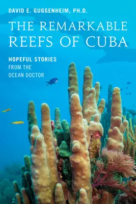 Le notevoli barriere coralline di Cuba: Storie di speranza dal medico degli oceani - The Remarkable Reefs of Cuba: Hopeful Stories from the Ocean Doctor