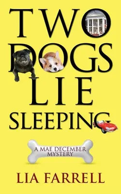 Due cani dormono - Two Dogs Lie Sleeping