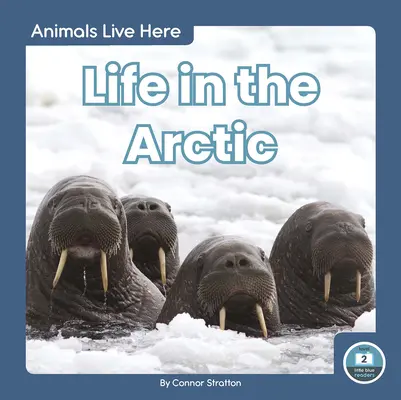 La vita nell'Artico - Life in the Arctic