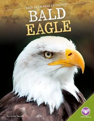 Aquila calva - Bald Eagle