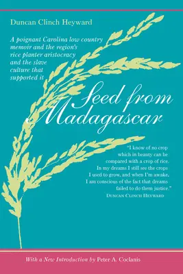 Seme dal Madagascar - Seed from Madagascar