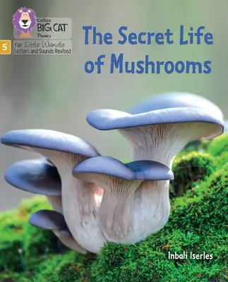 La vita segreta dei funghi - Fase 5, set 4, Allungare e sfidare - Secret Life of Mushrooms - Phase 5 Set 4 Stretch and Challenge